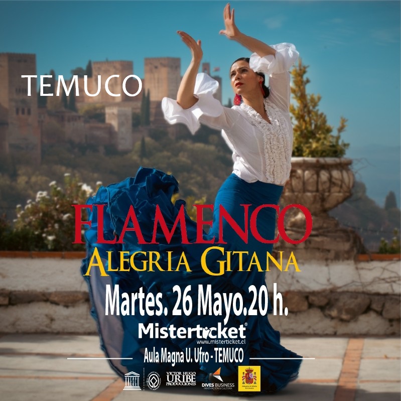 FLAMENCO ALEGRÍA